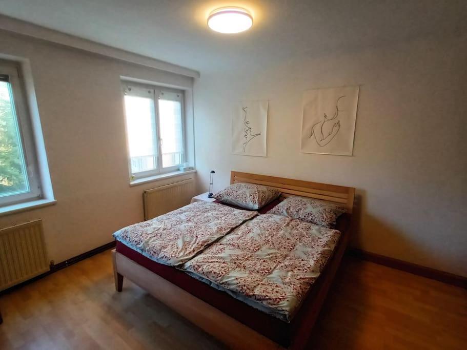 Modernes Apartment In Wien Екстер'єр фото